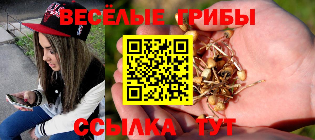 Псилоцибиновые грибы Magic Shrooms Усть-Джегута